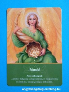 0509_Napi_Angyalkartya_Doreen_Virtue_Arkangyal_Joskartya