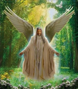 117c4765cbd569e3dfa7446ff0f8b3b2