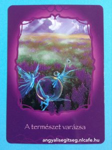 0110_Angyali_Segitseg_Napi_Angyalkartya_Doreen_Virtue_Tunderekkel_Gyogyito_Joskartya