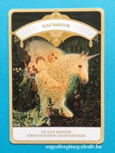 1120_napi_angyalkartya